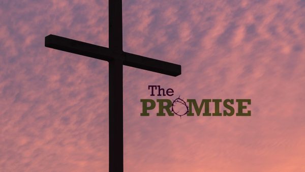 The Promise is a Person Image